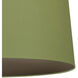 Williamsburg Custis 3 Light 25.5 inch Polished Nickel Pendant Ceiling Light in Parrot Green With Revolutionary Storm